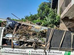 Best Demolition Debris Removal  in Clemson University, SC